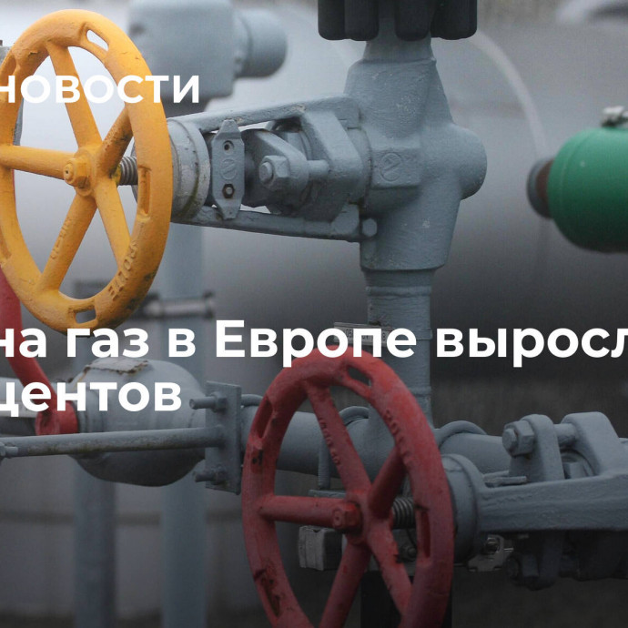 Цены на газ в Европе выросли на 16 процентов