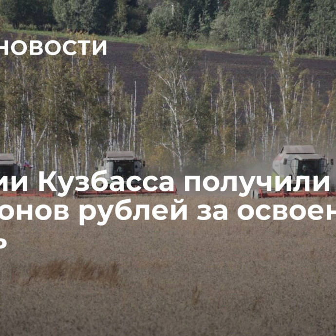 Аграрии Кузбасса получили 50 миллионов рублей за освоение земель