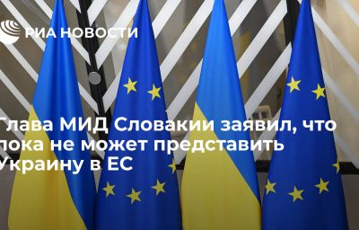 Глава МИД Словакии заявил, что пока не может представить Украину в ЕС