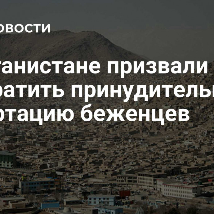 В Афганистане призвали прекратить принудительную депортацию беженцев