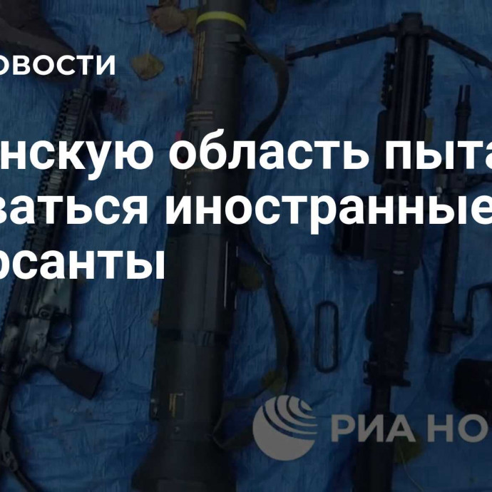 В Брянскую область пытались прорваться иностранные диверсанты