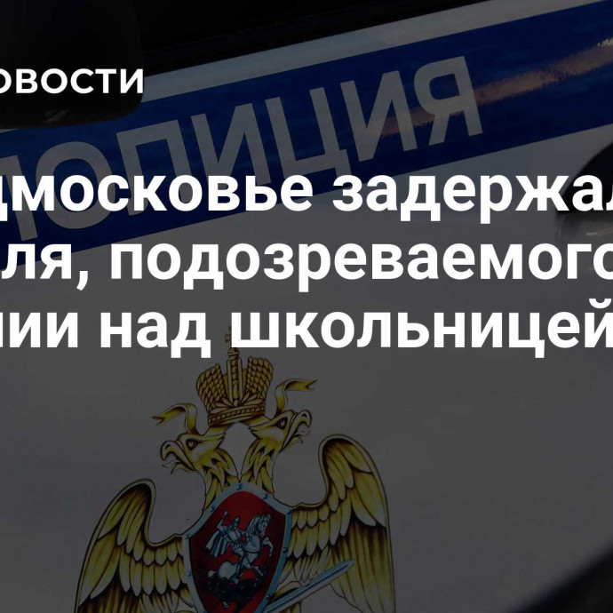 В Подмосковье задержали учителя, подозреваемого в насилии над школьницей