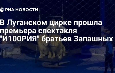 В Луганском цирке прошла премьера спектакля "И100РИЯ" братьев Запашных