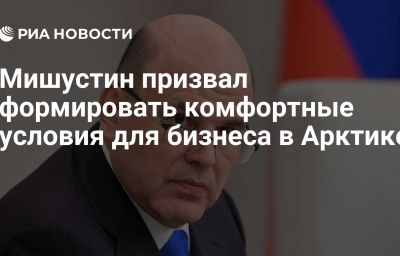 Мишустин призвал формировать комфортные условия для бизнеса в Арктике