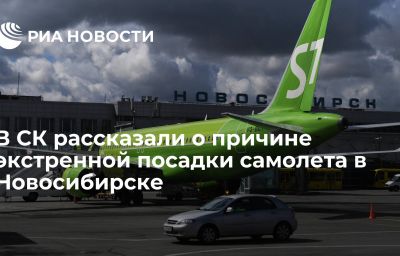 В СК рассказали о причине экстренной посадки самолета в Новосибирске