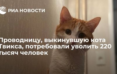 Проводницу, выкинувшую кота Твикса, потребовали уволить 220 тысяч человек