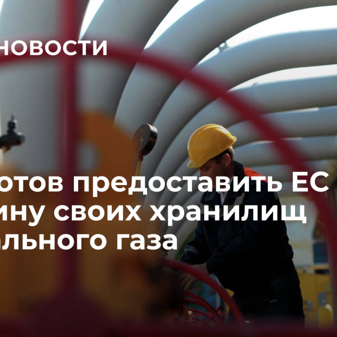 Киев готов предоставить ЕС половину своих хранилищ натурального газа