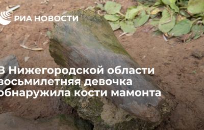 В Нижегородской области восьмилетняя девочка обнаружила кости мамонта