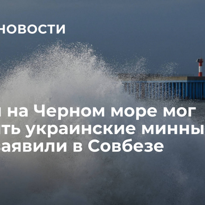 Шторм на Черном море мог рассеять украинские минные поля, заявили в Совбезе