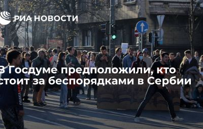 В Госдуме предположили, кто стоит за беспорядками в Сербии