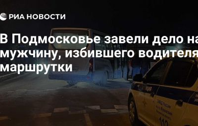 В Подмосковье завели дело на мужчину, избившего водителя маршрутки