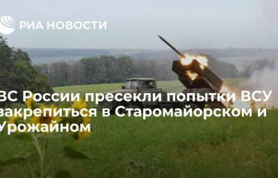 ВС России пресекли попытки ВСУ закрепиться в Старомайорском и Урожайном