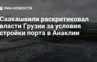 Саакашвили раскритиковал власти Грузии за условия стройки порта в Анаклии