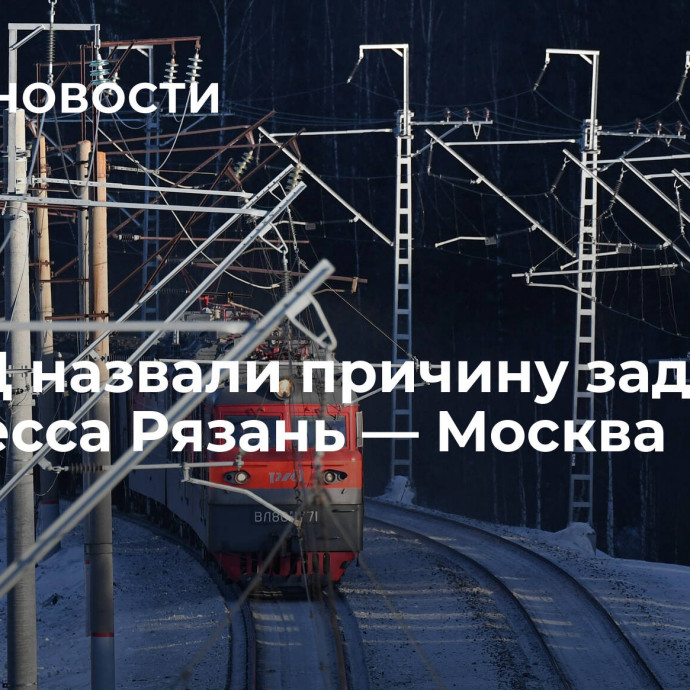 В МЖД назвали причину задержки экспресса Рязань — Москва