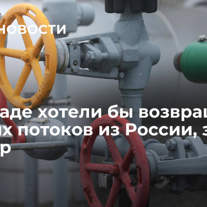 На Западе хотели бы возвращения газовых потоков из России, заявил Миллер