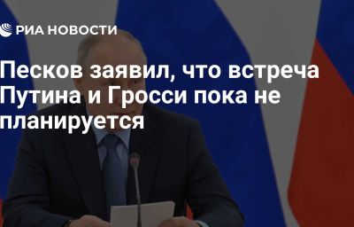 Песков заявил, что встреча Путина и Гросси пока не планируется