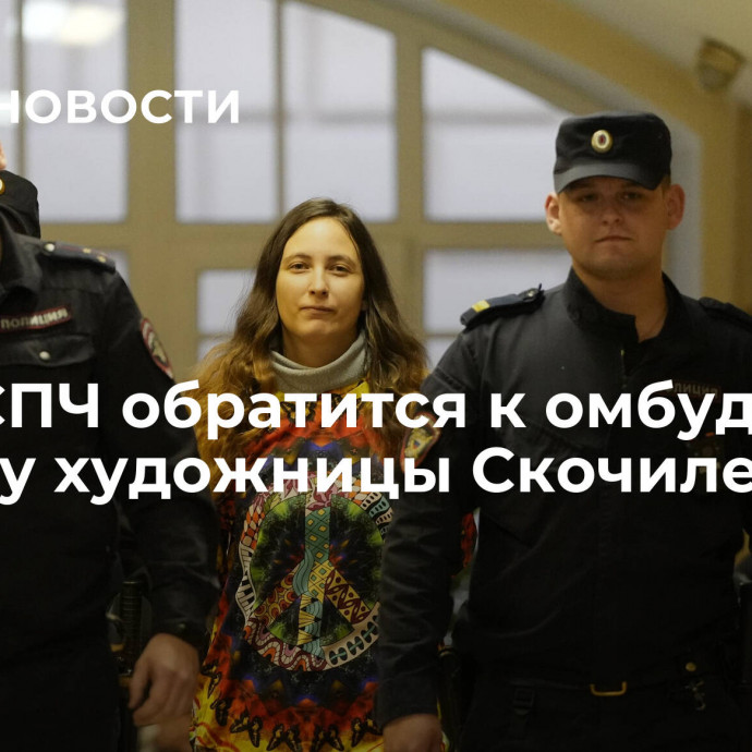 Член СПЧ обратится к омбудсмену по делу художницы Скочиленко