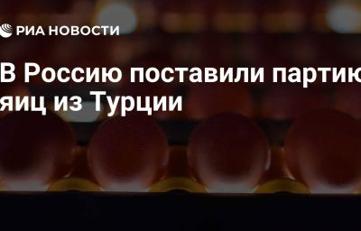 В Россию поставили партию яиц из Турции