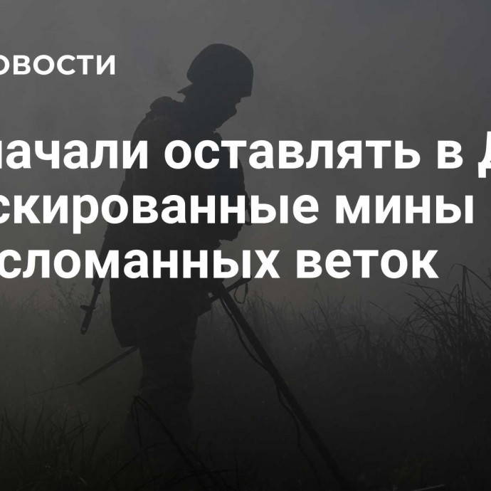 ВСУ начали оставлять в ДНР замаскированные мины в виде сломанных веток