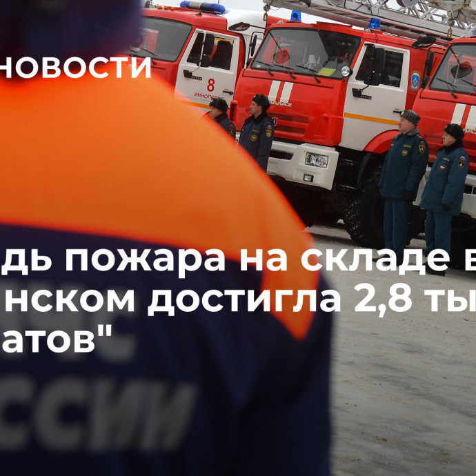 Площадь пожара на складе в Пушкинском достигла 2,8 тысячи 