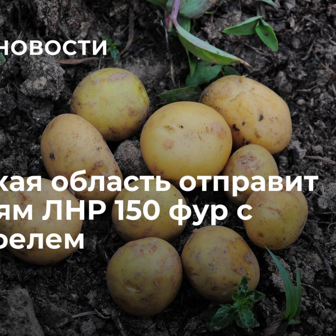 Брянская область отправит жителям ЛНР 150 фур с картофелем