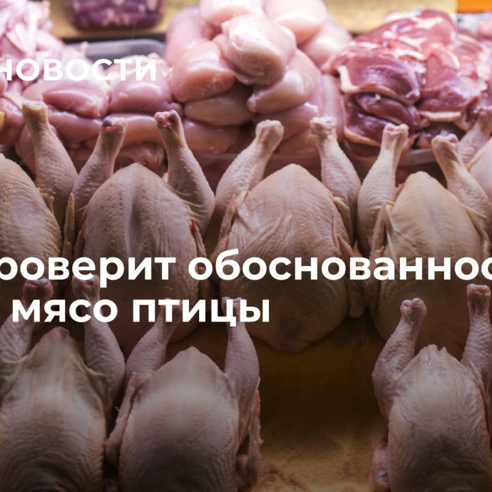 ФАС проверит обоснованность цен на мясо птицы