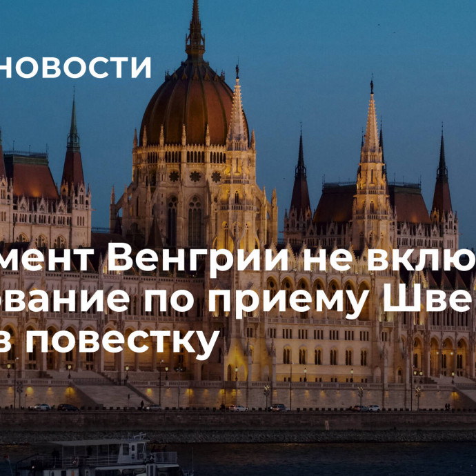 Парламент Венгрии не включил голосование по приему Швеции в НАТО в повестку