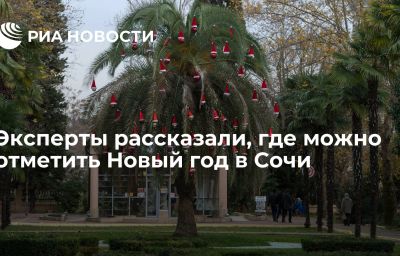 Эксперты рассказали, где можно отметить Новый год в Сочи