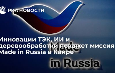 Инновации ТЭК, ИИ и деревообработки покажет миссия Made in Russia в Каире