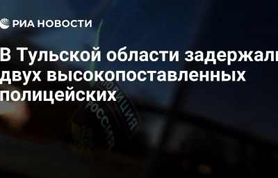 В Тульской области задержали двух высокопоставленных полицейских