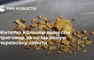 Жителю Колымы вынесли приговор за незаконную перевозку золота