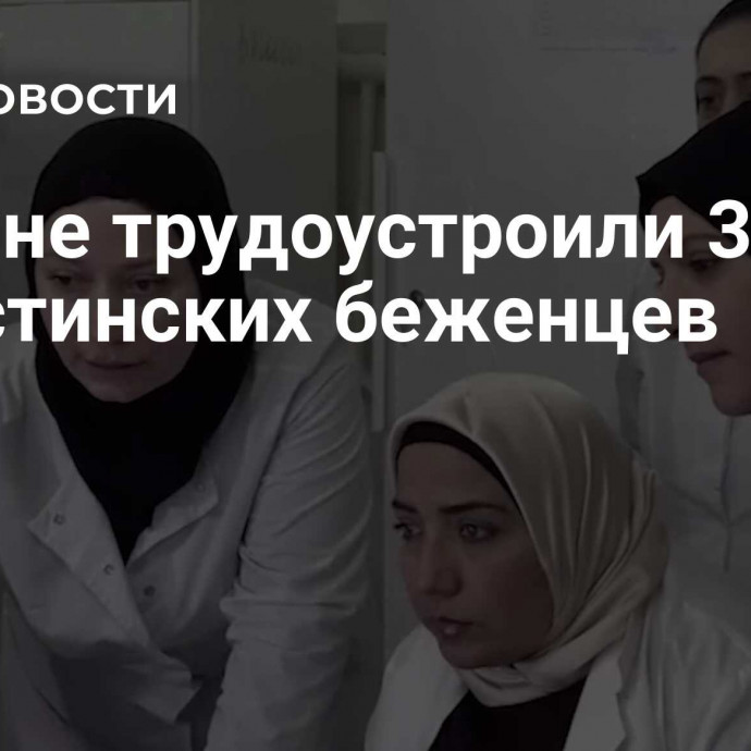 В Чечне трудоустроили 30 палестинских беженцев