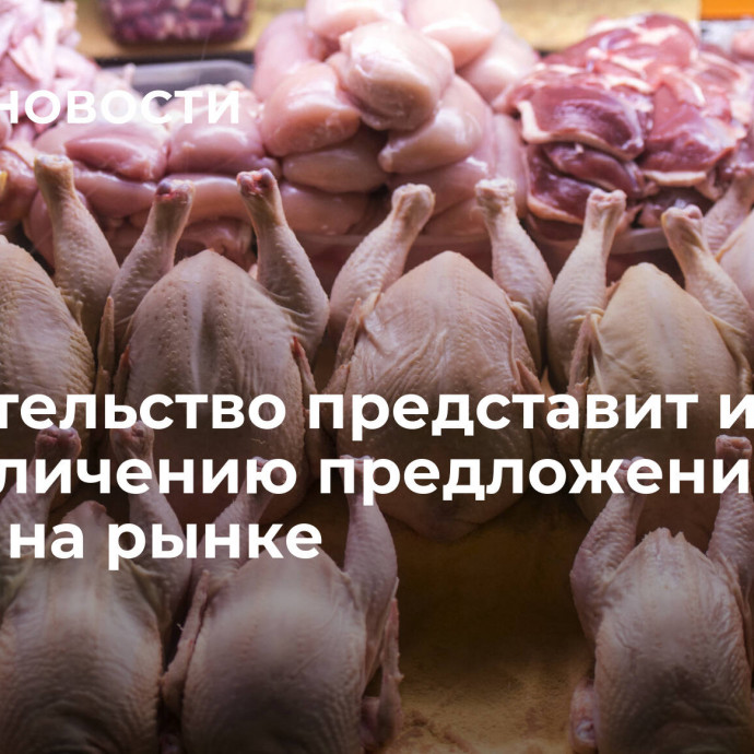 Правительство представит идеи по увеличению предложения мяса птицы на рынке