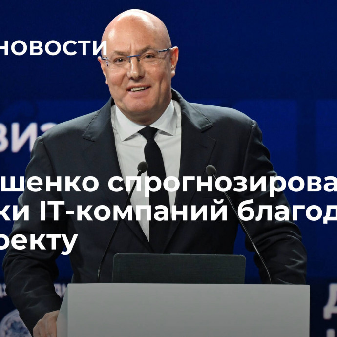 Чернышенко спрогнозировал рост выручки IT-компаний благодаря нацпроекту