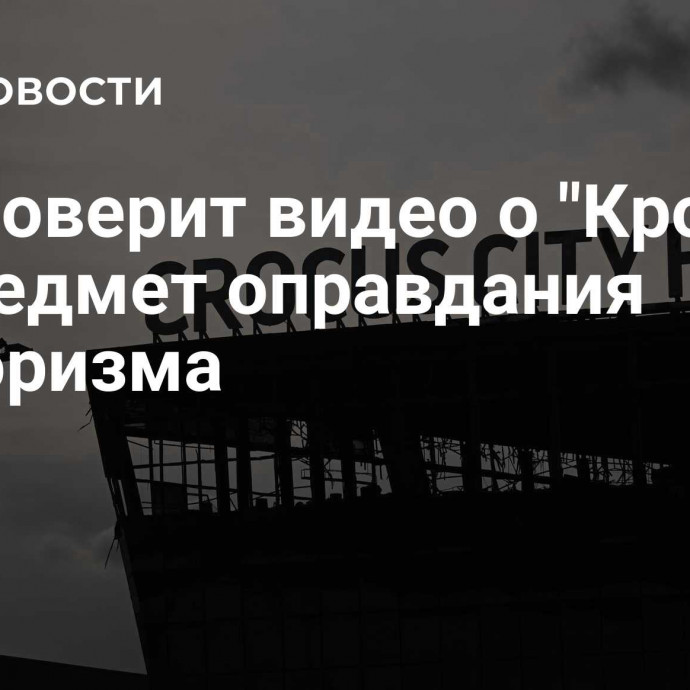 СК проверит видео о 