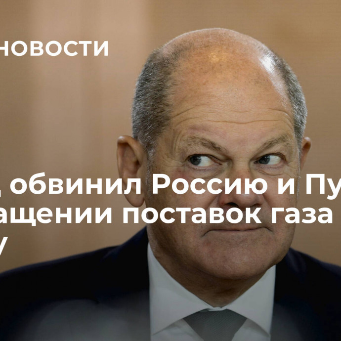 Шольц обвинил Россию и Путина в прекращении поставок газа в Европу