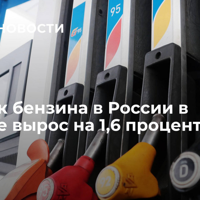 Выпуск бензина в России в августе вырос на 1,6 процента