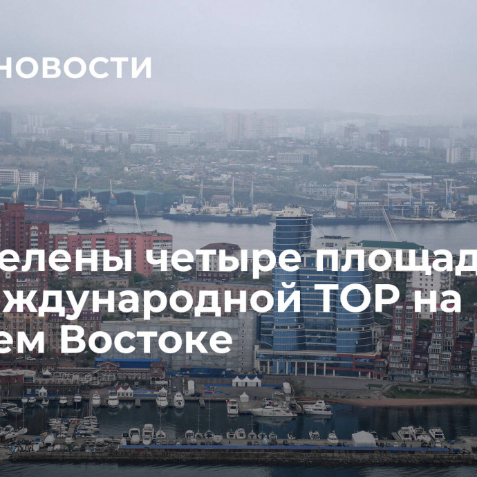 Определены четыре площадки для международной ТОР на Дальнем Востоке