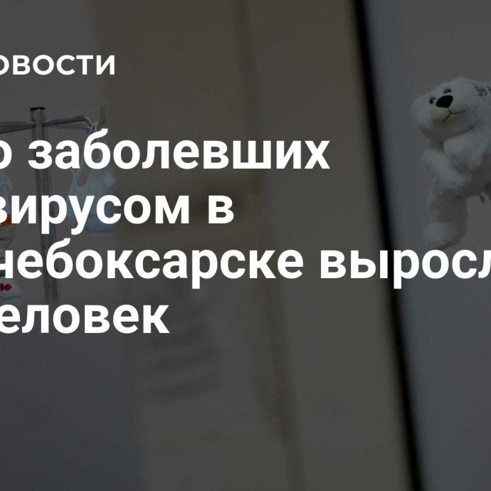 Число заболевших норовирусом в Новочебоксарске выросло до 209 человек