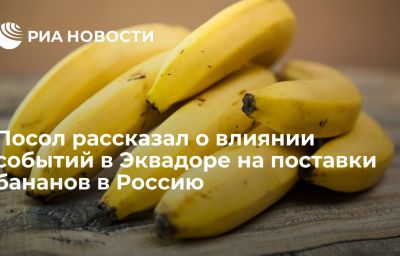 Посол рассказал о влиянии событий в Эквадоре на поставки бананов в Россию