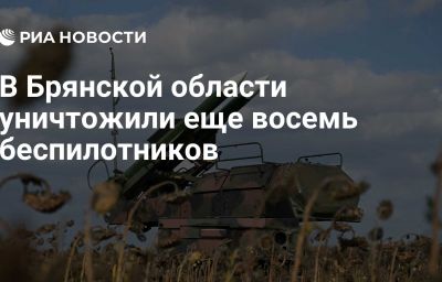 В Брянской области уничтожили еще восемь беспилотников