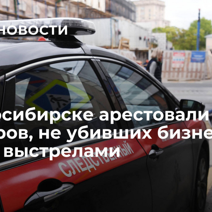 В Новосибирске арестовали киллеров, не убивших бизнесмена семью выстрелами