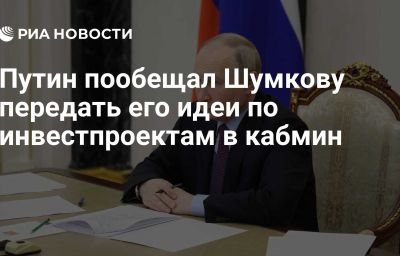 Путин пообещал Шумкову передать его идеи по инвестпроектам в кабмин