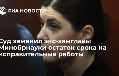 Суд заменил экс-замглавы Минобрнауки остаток срока на исправительные работы