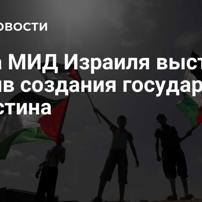 Глава МИД Израиля выступил против создания государства Палестина