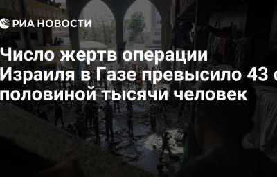 Число жертв операции Израиля в Газе превысило 43 с половиной тысячи человек