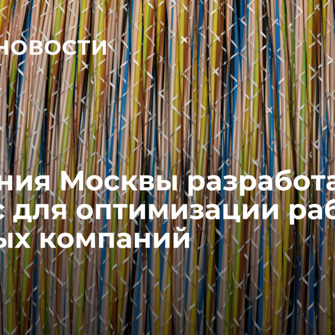 Компания Москвы разработала сервис для оптимизации работы крупных компаний