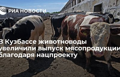 В Кузбассе животноводы увеличили выпуск мясопродукции благодаря нацпроекту