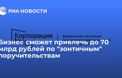 Бизнес сможет привлечь до 70 млрд рублей по "зонтичным" поручительствам