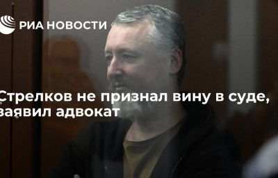 Стрелков не признал вину в суде, заявил адвокат